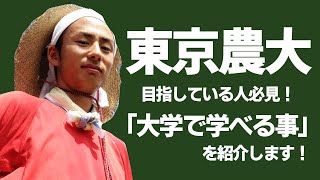 【農業大学を目指している人必見！】「東京農業大学」で学べる事を紹介します！