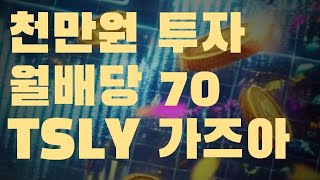 일드맥스 TSLY 배당금 1000만원 투자 이번달 70만원 쏠쏠합니다