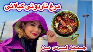 جمعه و من و خونه و مرغ ناردوني و رفتن به نيروگاه بادي