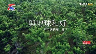 後疫情時代 如何與地球和好？！ T觀點 20200627 (1/4)