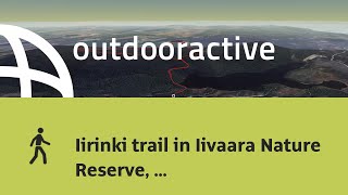 Interactive 3D flight: Iirinki trail in Iivaara Nature Reserve, Kuusamo