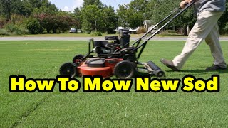 How To Mow A Newly Sodded Lawn It's NOT What One Might Think!