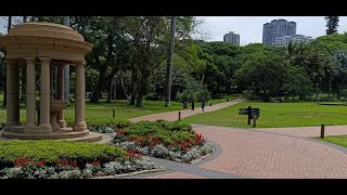 Exploring the Beauty of Durban Botanic Gardens: A Hidden Oasis in the Heart of the City!