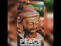 peace vibes/ smooth music/ melody/from music beatz