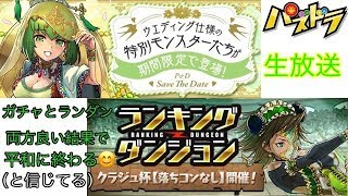 【パズドラ 生放送】ジューンブライドガチャとランダンやります