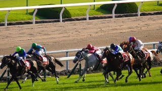 現地映像、武豊が見事な騎乗で京都大賞典9勝目。スマートレイアー。京都競馬場