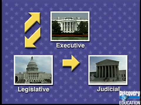 How Laws Are Made - YouTube