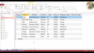 How to Update Records Using SQL in Microsoft Access