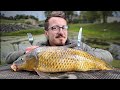 Is This Fish Edible? Carp Catch and Cook