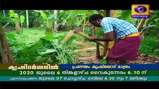 Krishidarshan 02 07 2020|വളർത്തു നായ്ക്കളുടെ പരിശീലനവും പരിചരണവും