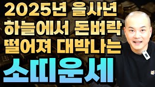 🌟2025년 (을사년) 하늘에서 돈벼락 떨어져 대박나는 소띠 운세🌟🎉85년생, 73년생, 61년생 운세 (인천점집)