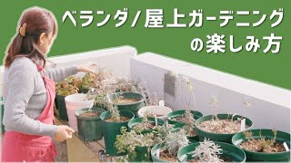 【ガーデニング】ベランダ/屋上ガーデニングの楽しみ方大公開！ガーデン化計画のスタートに！【ハーブガーデン】