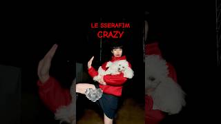 【99紅白ダンス合戦】【紅組】LE SSERAFIM／ #CRAZY #踊ってみた #NHK紅白 #2024 #ルセラ #LESSERAFIM