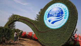 18th Shanghai Cooperation Organisation Summit to be held in Qingdao