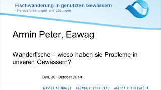 Armin Peter: Wanderfische - wieso haben sie Probleme in unseren Gewässern? (e)