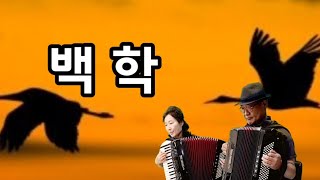 분당아코디언 김에스더ㆍ임성수 ㅡ백학(The Cranes)