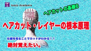 ヘアレイヤーカットの根本原理　ヘアレイヤーカットの基礎6