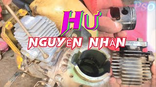 Uống nước lạ máy hư hỏng. Thay nòng Robin 411