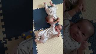 Chinese Twins Baby 👶 Life With Twins ❤️ Twins Baby Videos #raisingtwins #chinesetwins #triplets