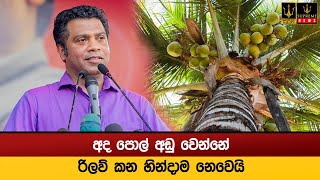 අද පොල් අඩු වෙන්නේ රිලව් කන හින්දාම නෙවෙයි