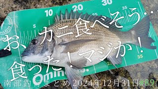 年末釣り納め　南部釣行まとめ　2024年12月31日【沖縄　ルアー釣り】