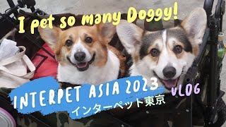 【InterPet 2023】日本最大規模的寵物展 | 狗狗們都超可愛的啊 ♡ 摸了好多隻狗