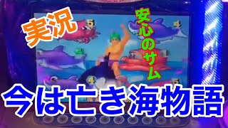 【メダルゲーム実況】幻の確変が今蘇る！今は亡き海物語ラッキーマリンシアターデラックス