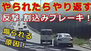 迷惑運転者たち　No.1516　やられたら　やり返す・・反撃　割込みブレーキ！・・煽られる　原因！・・【トレーラー】【車載カメラ】