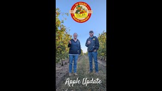 Evercrisp Apples are HERE!