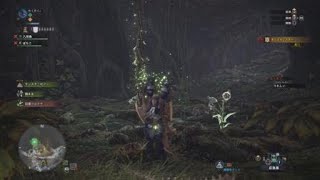 【MHW】大回復ミツムシの捕獲場所　レア環境生物【モンハンワールド生放送より】