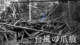 [Ride] 台風被害で辿り着けなかった滝は今・・・