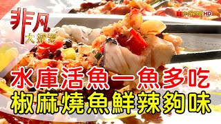 石門水庫百變活魚餐│桃園美食必吃│佳園活魚│【非凡大探索】2023.10.08