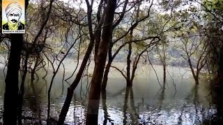 Baralikadu eco tourism centre - Nature Landscape