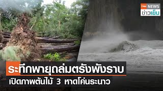 ระทึกพายุถล่มตรังพังราบ - เปิดภาพต้นไม้ 3 หาดโค่นระนาว  | TNN ข่าวเย็น | 20-07-23