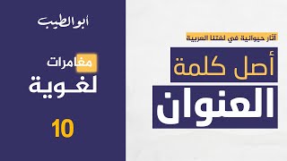 مغامرات لغوية | ما أصل العنوان؟