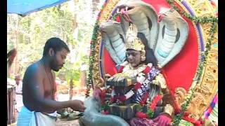 02 Temple Festival in Trichur Kerala at Vazhappully - Makarapath Maholsavam 2011