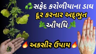 કરોળીયા ત્વચા સમસ્યા l સાંધાનો દુઃખાવો,સોજો l કરોળીયા રોગનું નિરાકરણ l Spider Skin Problem