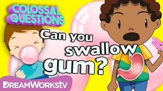 What REALLY Happens If You Swallow Gum? | COLOSSAL QUESTIONS