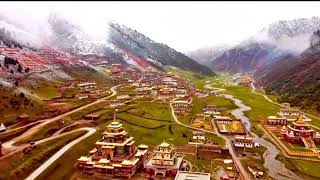 History of shechen monastery, one of the six mother monasteries of Tibet.