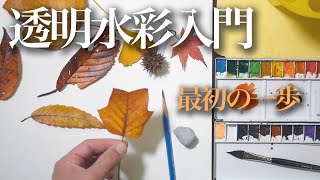 [Eng sub] How to draw fallen leaves without failure [Introduction to watercolors for the first time]