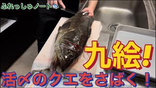 【高級魚料理】活締め天然クエをさばいて料理してみたけどクッソうまかった❗️