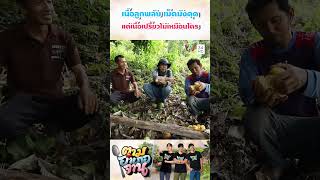 ส้มควาย เนื้อลูกพลับ เม็ดมังคุด แต่เปรี้ยวไม่เหมือนใคร | ตามอำเภอจาน