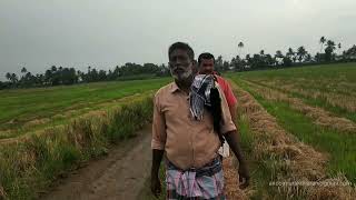 ഏഷ്യയിലെ ഏറ്റവും വലിയ സംഘകൃഷി നടക്കുന്ന കാവാലത്തെ 24000 കായലിലേക്ക് ഒരു ജലയാത്ര .