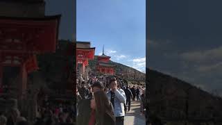 【京都観光】清水寺に令和初の初詣