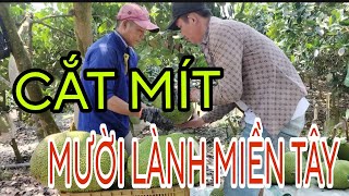 Giá Mít đi ngang bà con ơi/ mười lành miền tây