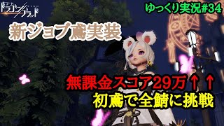 【ドラブラ】無課金スコア29万↑↑新実装鳶で全鯖に殴り込み！(ゆっくり実況)【夜桜の斬鯖】