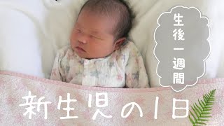 【新生児の1日】生後一週間の我が子の1日