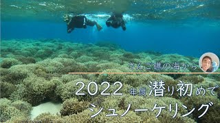 2022年、初潜りで、貸切シュノーケリング！