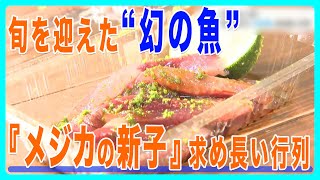 「この時期にしか食べられないと聞いたので…」今年も大人気！　旬を迎えた“幻の魚”『メジカの新子』を求め長い行列