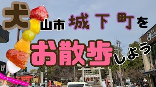 愛知県・犬山市【城下町をお散歩】大好きなフルーツ飴を求めて🍭